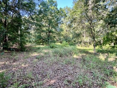 3.3 acre lot for sale Ashford Alabama - Lake frontage - Homesite Thornberry Place - image 1