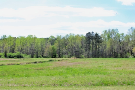 Move-In Ready Contemporary Cottage Style Home for Sale in Chesterfield, SC - image 22