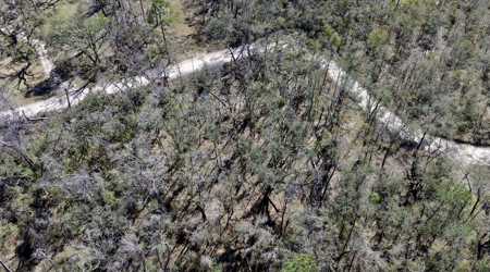 River Property For Sale In Lafayette County! Chan Perry Realtor,Land For Sale - image 11