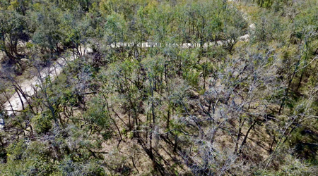 River Property For Sale In Lafayette County! Chan Perry Realtor,Land For Sale - image 8