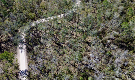 River Property For Sale In Lafayette County! Chan Perry Realtor,Land For Sale - image 10