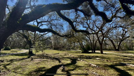 River Property For Sale Lafayette County, Chan Perry Realtor,Chan Perry 386-688-2557 - image 5