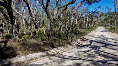 River Property For Sale Lafayette County, Chan Perry Realtor,Chan Perry 386-688-2557 - image 12