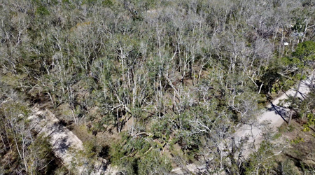 River Property For Sale Lafayette County, Chan Perry Realtor,Chan Perry 386-688-2557 - image 8