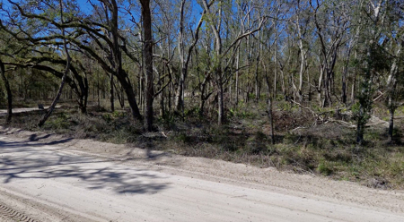 River Property For Sale Lafayette County, Chan Perry Realtor,Chan Perry 386-688-2557 - image 11