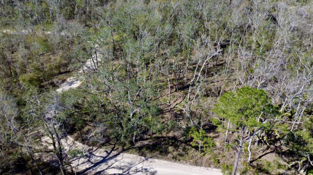 River Property For Sale Lafayette County, Chan Perry Realtor,Chan Perry 386-688-2557 - image 9