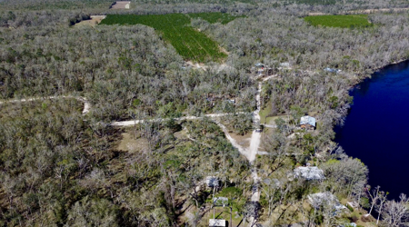 River Property For Sale Lafayette County, Chan Perry Realtor,Chan Perry 386-688-2557 - image 7