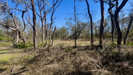 River Property For Sale In Lafayette County, Chan Perry Realtor - image 1