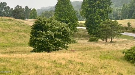 Land for Sale in Highland Reserve Subdivision of Kingston, TN - image 6
