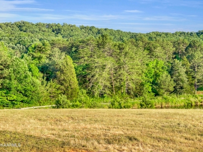 Land for Sale in Highland Reserve Subdivision of Kingston, TN - image 8
