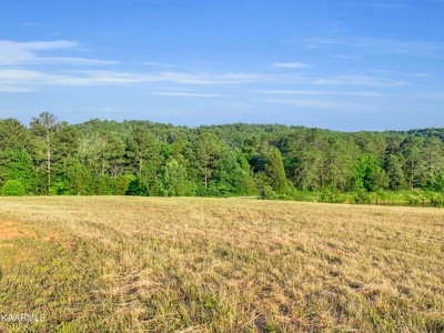 Land for Sale in Highland Reserve Subdivision of Kingston, TN - image 7