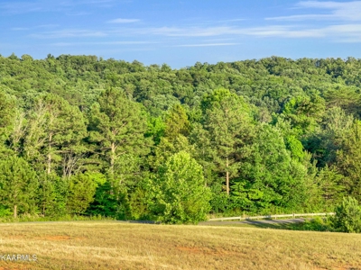 Land for Sale in Highland Reserve Subdivision of Kingston, TN - image 11