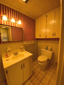 New Boston Texas Home For Sale - image 14