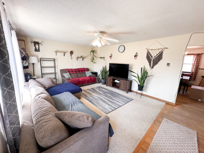 Charming Home with Acreage for Sale in Salem, MO - image 4