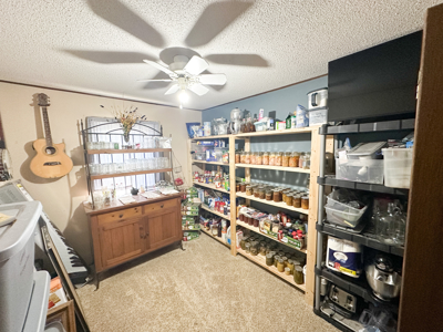 Charming Home with Acreage for Sale in Salem, MO - image 15