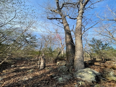 28-Acre Property with Home and Separate Guest Cabin! - image 24