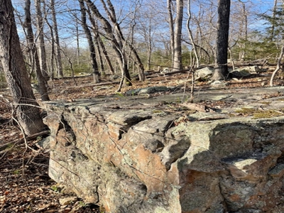 28-Acre Property with Home and Separate Guest Cabin! - image 23