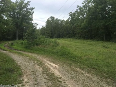 28-Acre Property with Home and Separate Guest Cabin! - image 15
