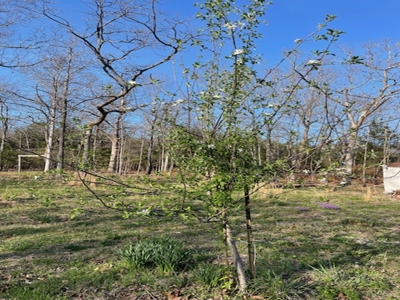 28-Acre Property with Home and Separate Guest Cabin! - image 25