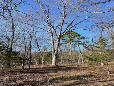28-Acre Property with Home and Separate Guest Cabin! - image 27