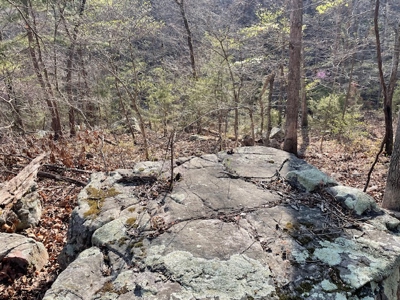 28-Acre Property with Home and Separate Guest Cabin! - image 22