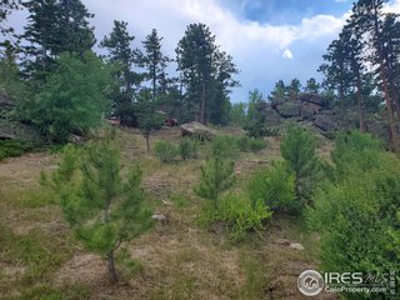 Beautiful Lot with Stunning View of Lake Arapahoe - image 4