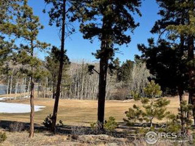 Beautiful Lot with Stunning View of Lake Arapahoe - image 5