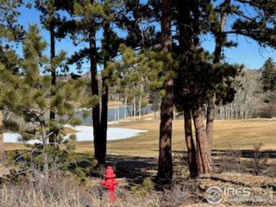 Beautiful Lot with Stunning View of Lake Arapahoe - image 10