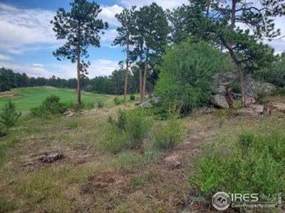 Beautiful Lot with Stunning View of Lake Arapahoe - image 3