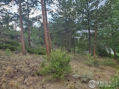 Beautiful Lot with Stunning View of Lake Arapahoe - image 6
