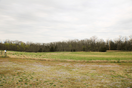 Land For Sale EL Dorado Springs, MO - image 40