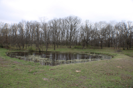 Land For Sale EL Dorado Springs, MO - image 35