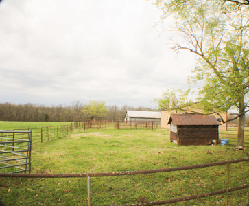 Land For Sale EL Dorado Springs, MO - image 30