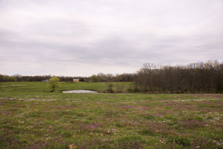 Land For Sale EL Dorado Springs, MO - image 38