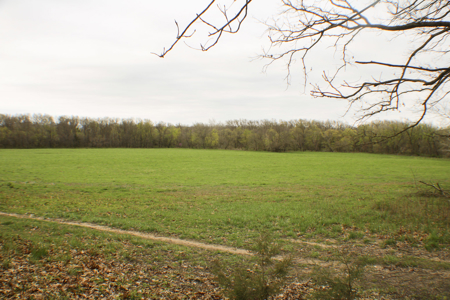 Land For Sale EL Dorado Springs, MO - image 37