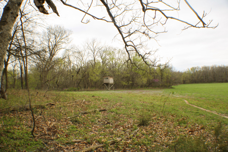 Land For Sale EL Dorado Springs, MO - image 39