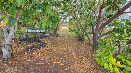 Sweeping ocean views on Hawai‘i Island—2BR/2BA with pool & orchard - image 32