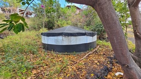 Sweeping ocean views on Hawai‘i Island—2BR/2BA with pool & orchard - image 38