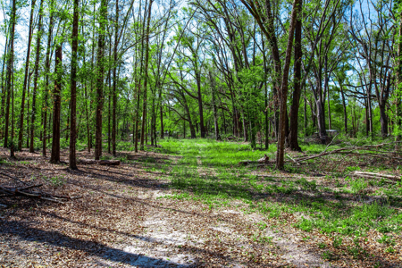 4 acres ready for your home, mobile home or even your RV! - image 7