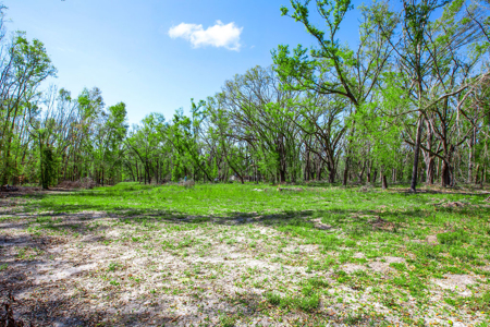4 acres ready for your home, mobile home or even your RV! - image 17