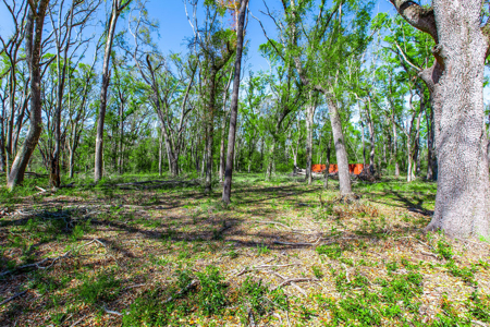 4 acres ready for your home, mobile home or even your RV! - image 12
