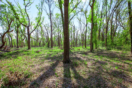 4 acres ready for your home, mobile home or even your RV! - image 15