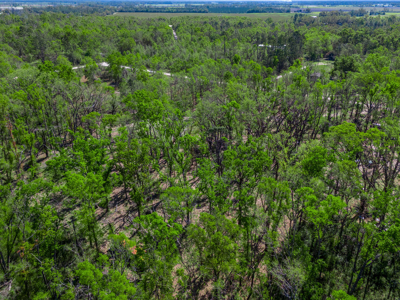 4 acres ready for your home, mobile home or even your RV! - image 4