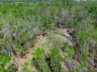 4 acres ready for your home, mobile home or even your RV! - image 3
