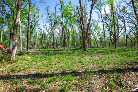 4 acres ready for your home, mobile home or even your RV! - image 14