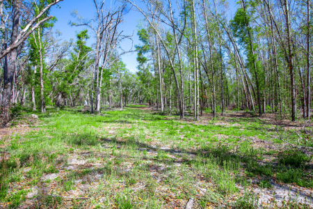 4 acres ready for your home, mobile home or even your RV! - image 18