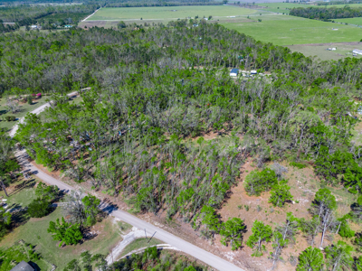 4 acres ready for your home, mobile home or even your RV! - image 2