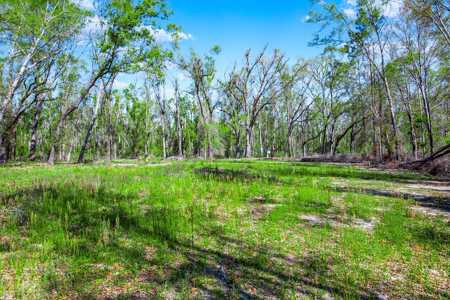 4 acres ready for your home, mobile home or even your RV! - image 8