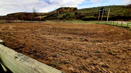 Log Home with Equine Barn and Arenas - image 28