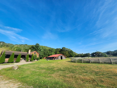 Log Home with Equine Barn and Arenas - image 47